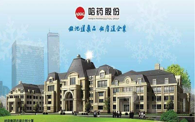 哈藥集團人力資源管理體系建設項目